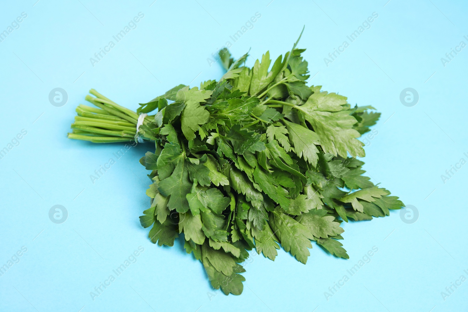 Photo of Bunch of fresh green parsley on color background