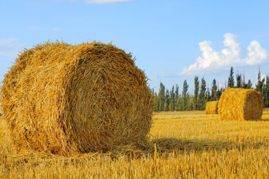 Photo of Beautiful view of agricultural field with hay bales