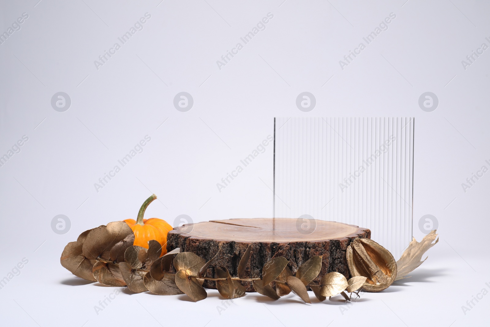 Photo of Autumn presentation for product. Wooden stump, geometric figure, pumpkin and golden branch with leaves on white background