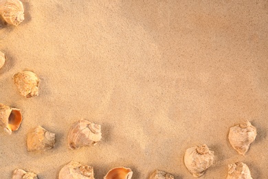 Photo of Flat lay composition with seashells on sandy beach. Space for text