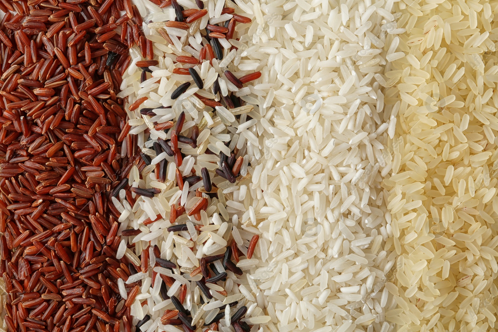 Photo of Brown and other types of rice as background, closeup