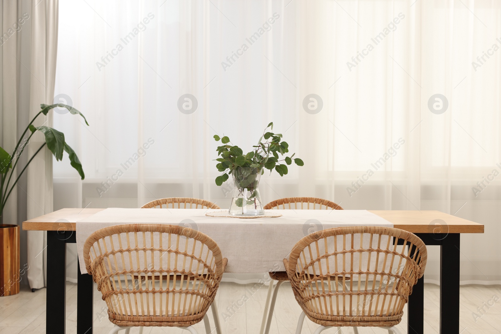 Photo of Vase with eucalyptus branches on table and chairs in dining room