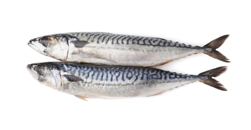 Photo of Tasty salted mackerels isolated on white, top view