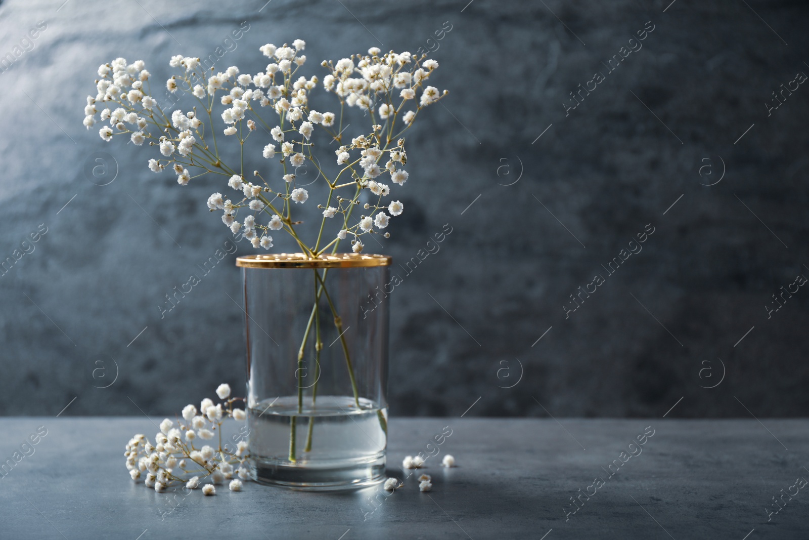 Photo of Gypsophila flowers in vase on table against grey background. Space for text