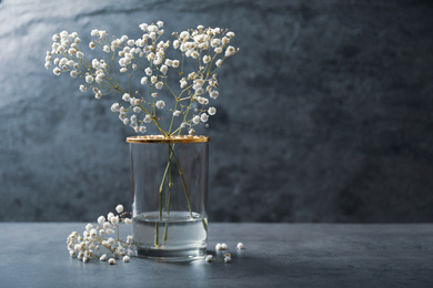 Gypsophila flowers in vase on table against grey background. Space for text