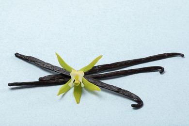 Photo of Vanilla pods and beautiful flower on light background, top view. Space for text