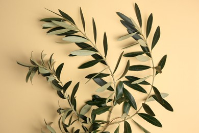 Twigs with fresh green olive leaves on beige background, top view