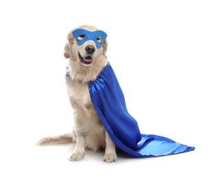 Photo of Adorable dog in blue superhero cape and mask on white background