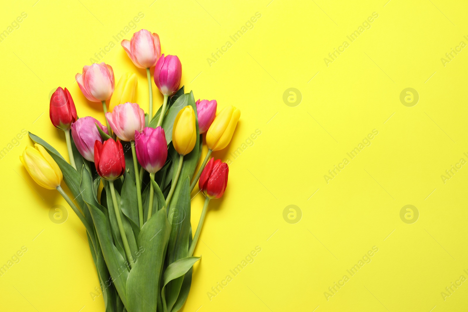 Photo of Beautiful colorful tulip flowers on yellow background, flat lay. Space for text