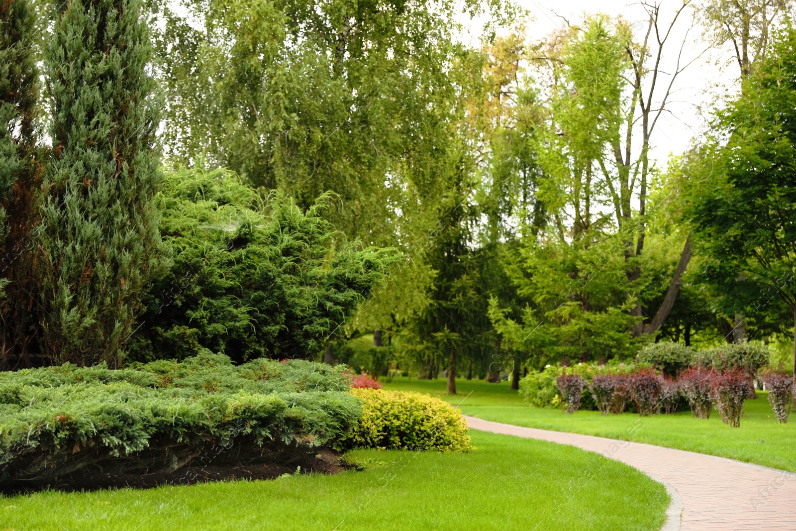 Photo of Picturesque landscape with beautiful green lawn on sunny day. Gardening idea