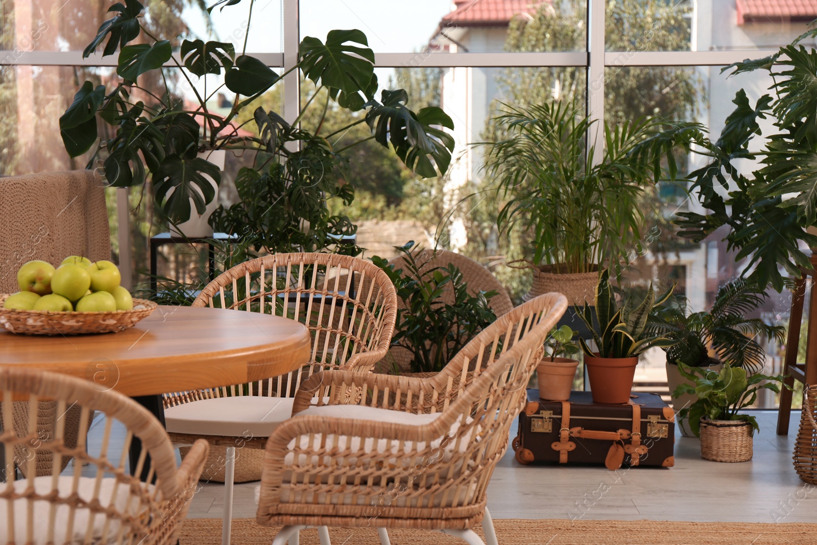 Photo of Stylish living room with beautiful plants. Interior design