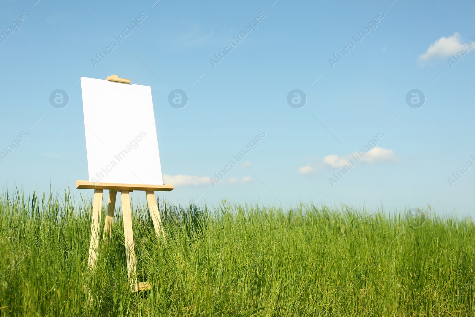 Photo of Wooden easel with blank canvas in picturesque green field on sunny day. Space for text