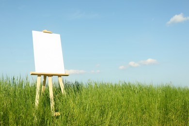 Wooden easel with blank canvas in picturesque green field on sunny day. Space for text