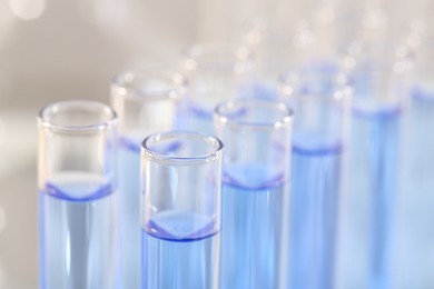 Photo of Laboratory analysis. Many glass test tubes with light blue liquid on blurred background, closeup