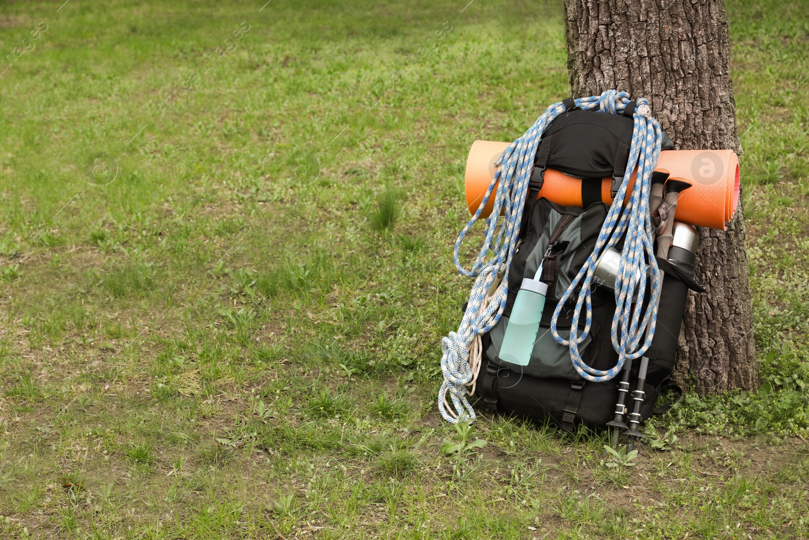 Photo of Backpack with hiking equipment near tree on green grass. Space for text