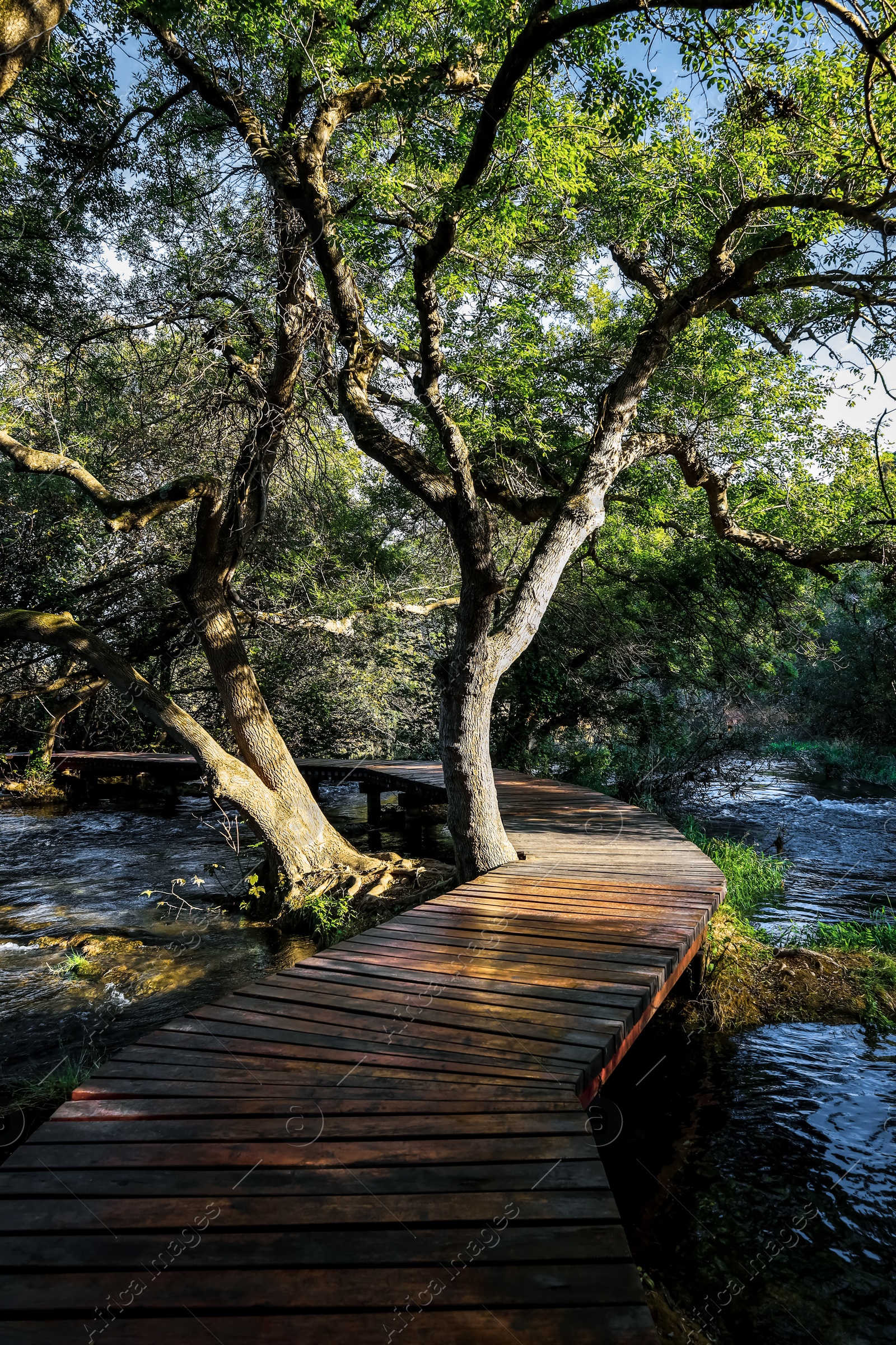 Photo of Picturesque view of beautiful river and pathway outdoors