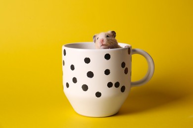 Photo of Cute little hamster in ceramic cup on yellow background