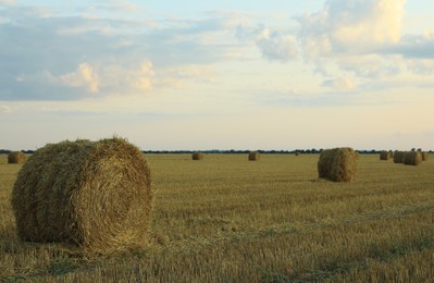 Beautiful view of agricultural field with hay bales