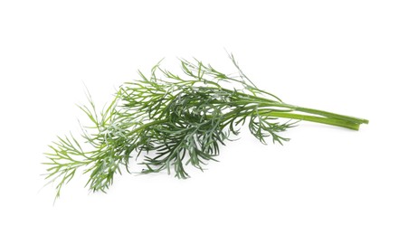 Photo of Fresh green dill branches isolated on white