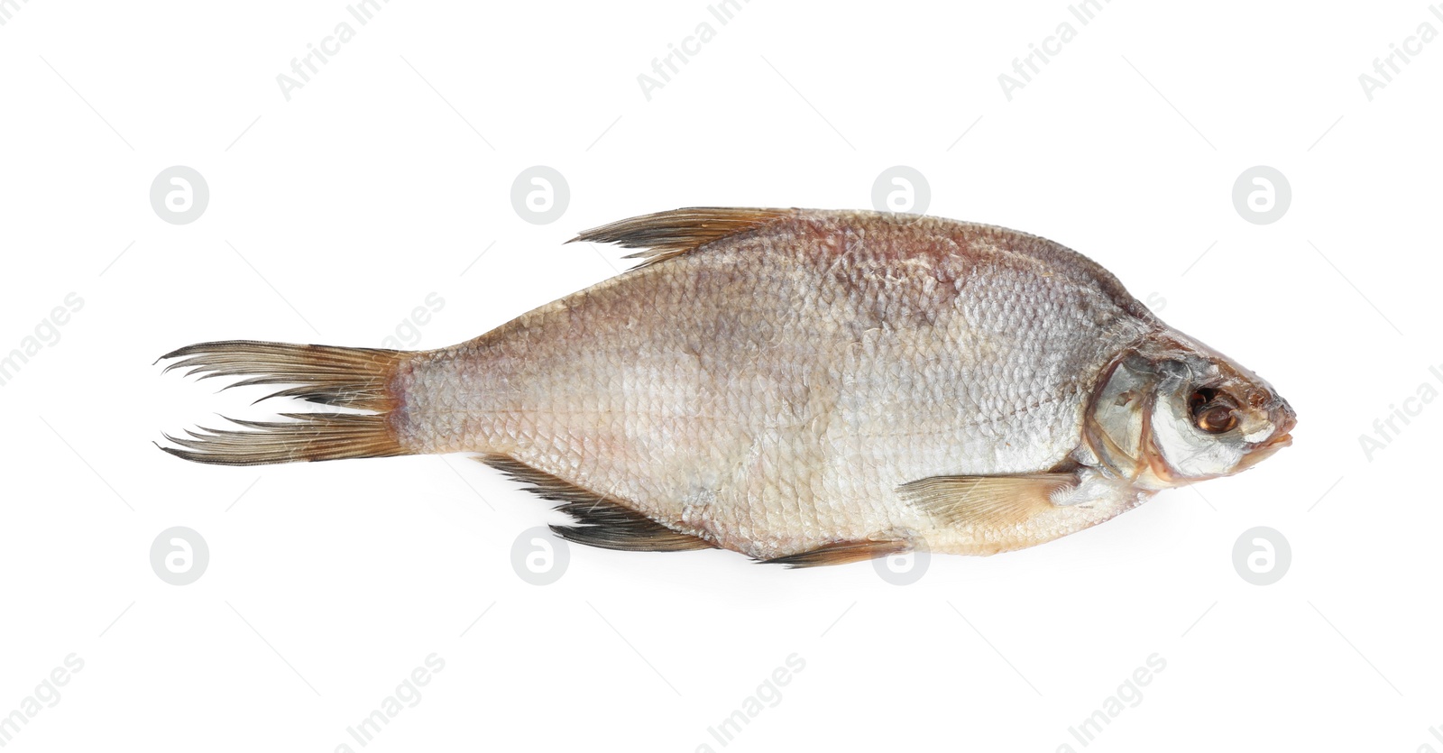 Photo of Tasty dried fish isolated on white. Seafood