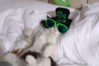 Photo of Cute cat wearing leprechaun hat and sunglasses with bottle of whiskey on bed. After party hangover