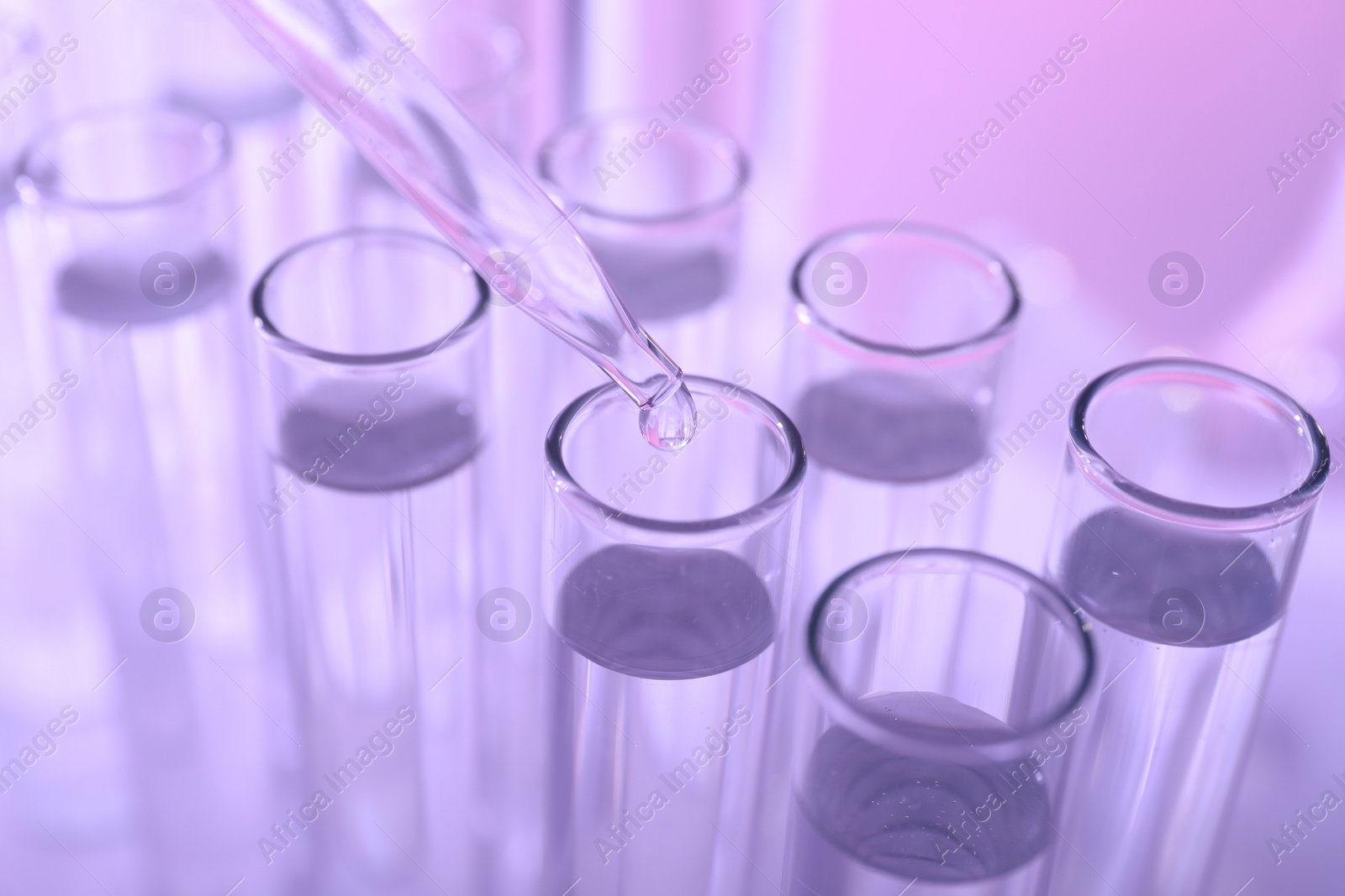 Photo of Dripping liquid from pipette into test tube on violet background, closeup