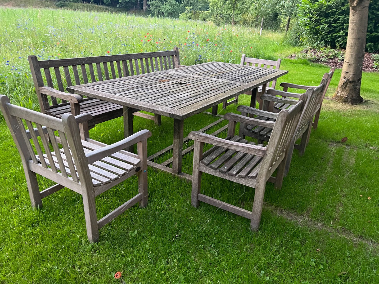 Photo of Wooden table with bench and chairs in garden. Landscape design