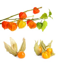 Set with tasty ripe physalis fruits on white background