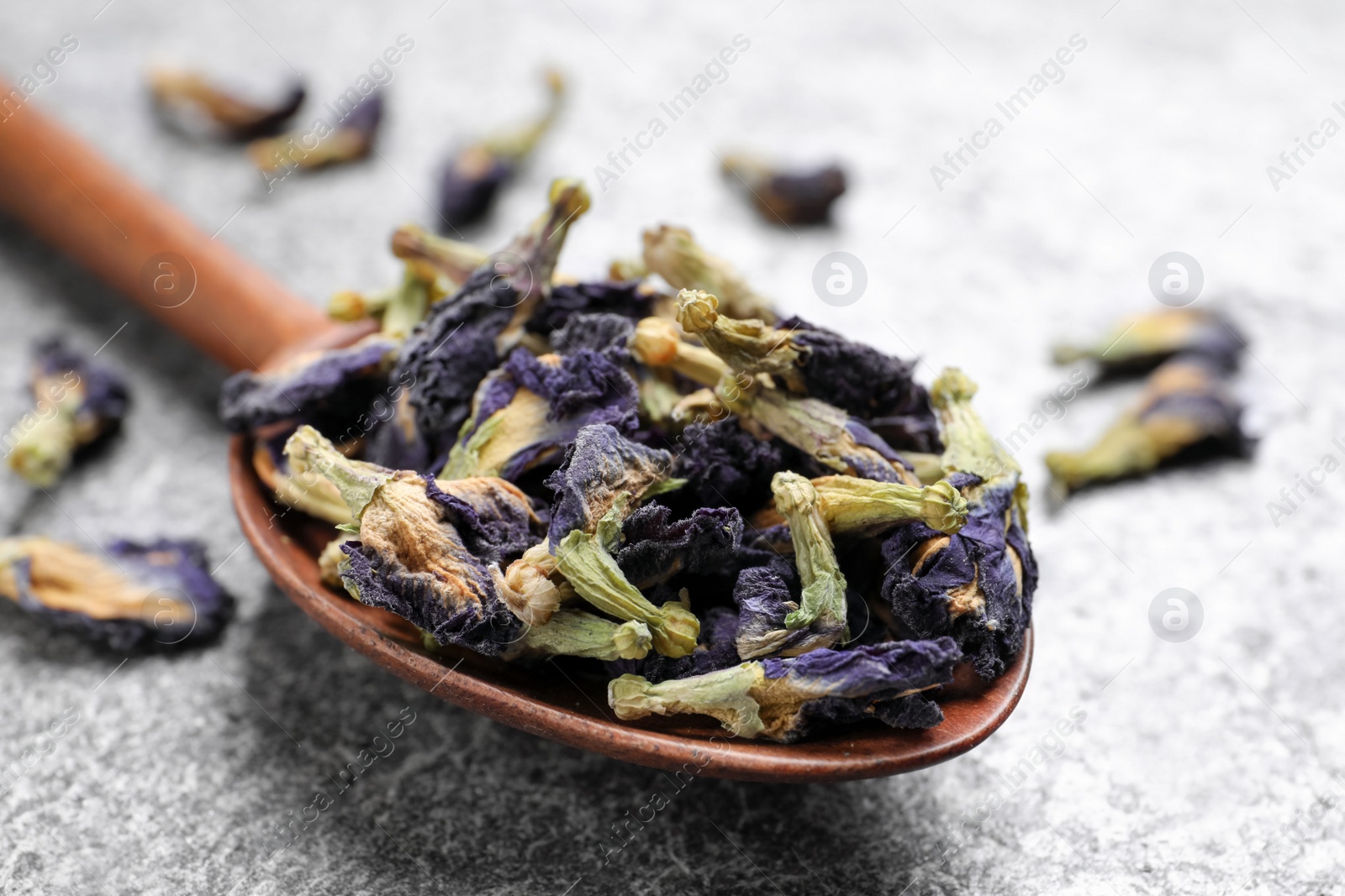 Photo of Spoon with dry organic blue Anchan on grey table, closeup. Herbal tea