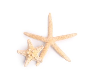 Photo of Beautiful sea stars (starfishes) isolated on white, top view