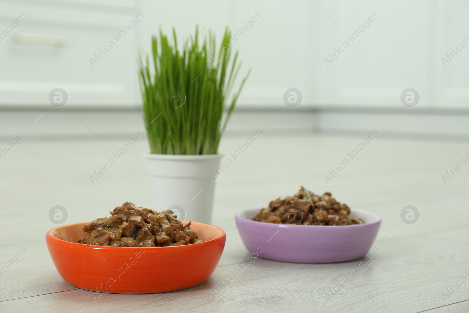 Photo of Wet pet food and green grass on floor indoors, space for text