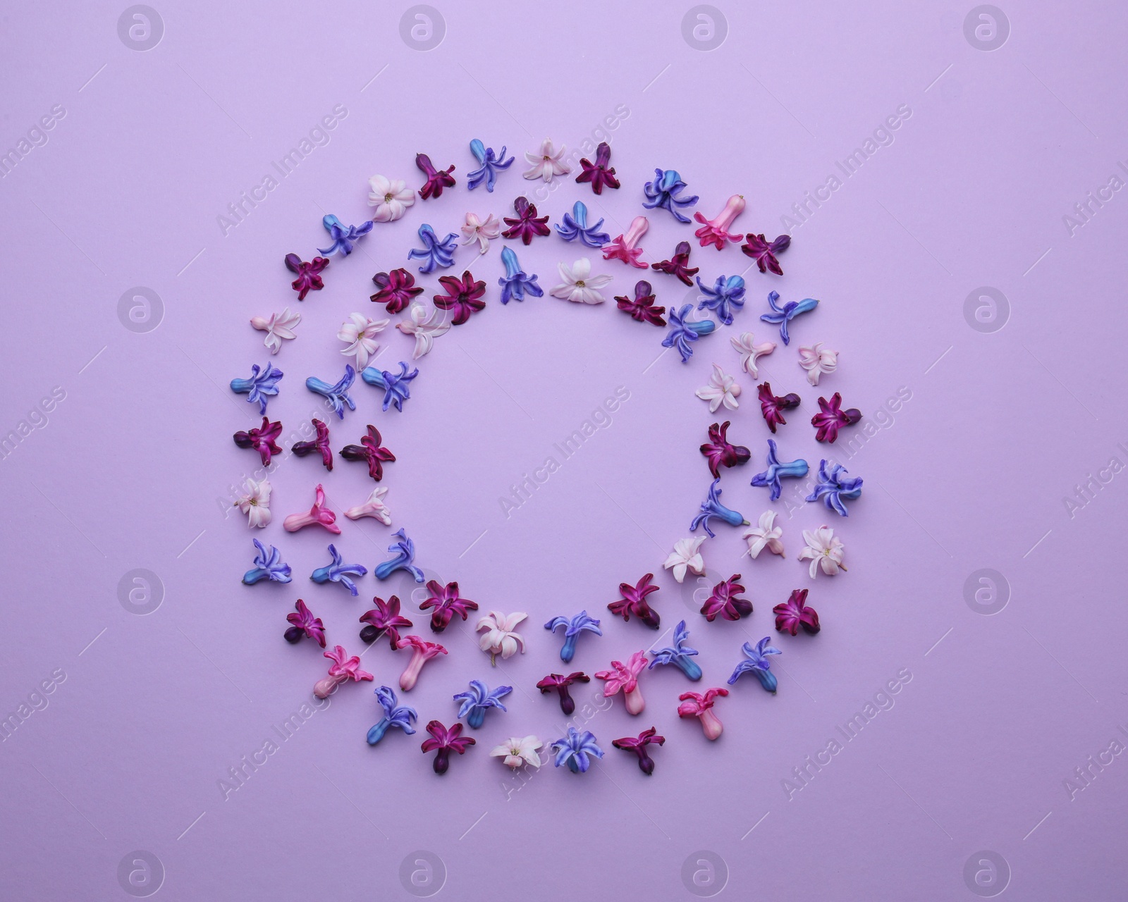 Photo of Frame made of blooming spring hyacinth flowers on color background, top view. Space for text