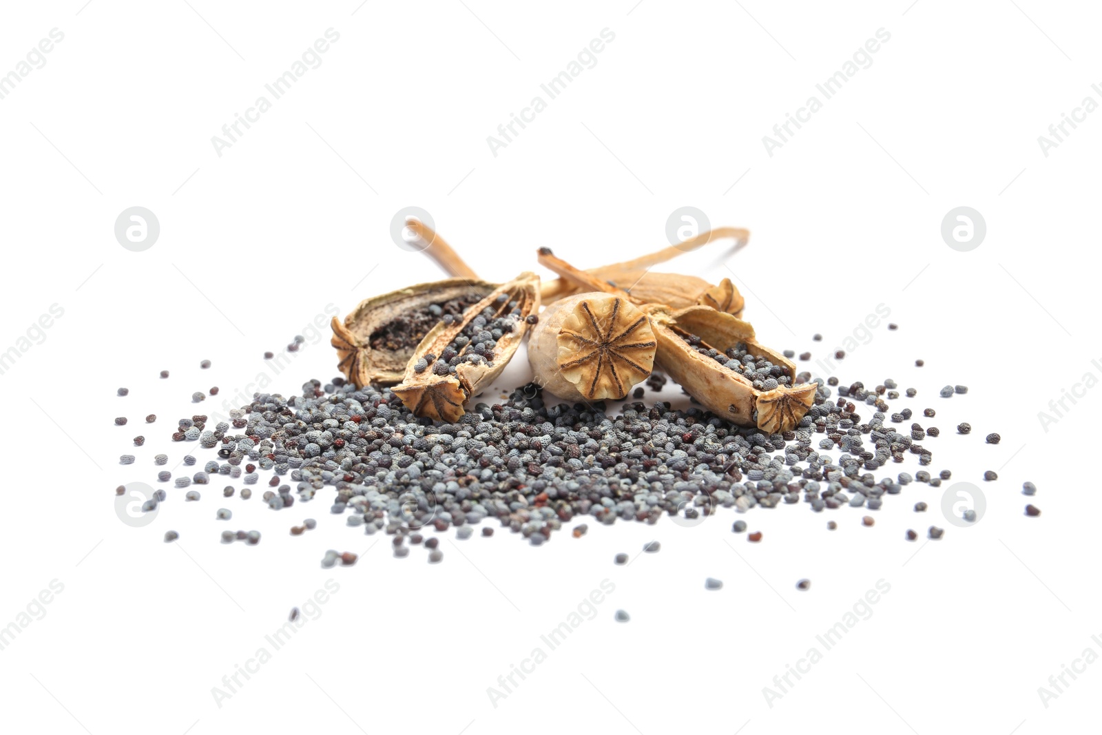 Photo of Dry poppy heads with seeds on white background