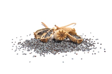 Dry poppy heads with seeds on white background