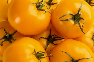 Photo of Many ripe yellow tomatoes as background, closeup