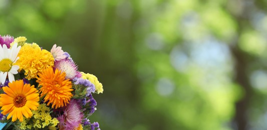 Image of Beautiful wild flowers outdoors on sunny day, space for text. Banner design