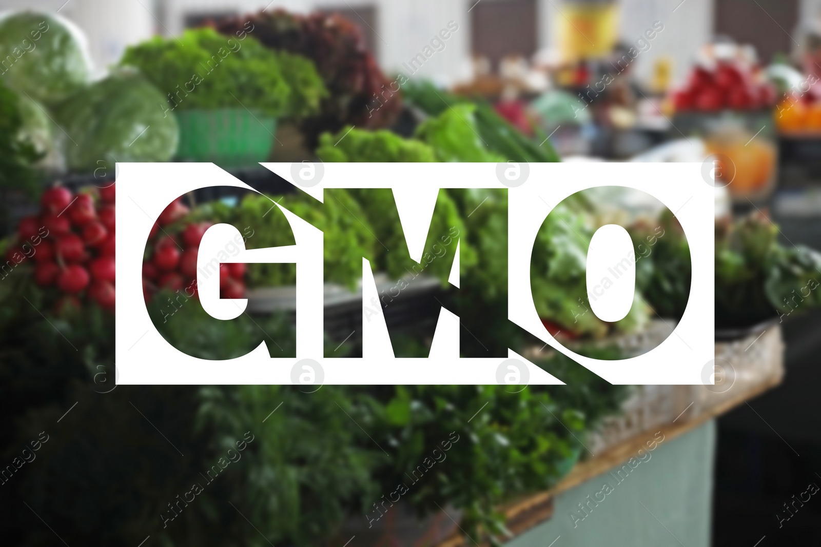 Image of GMO free products. Blurred view of ripe vegetables and herbs on counter at wholesale market