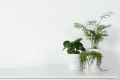 Photo of Many beautiful green potted houseplants on white table indoors, space for text