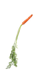 Photo of Fresh ripe juicy carrot isolated on white