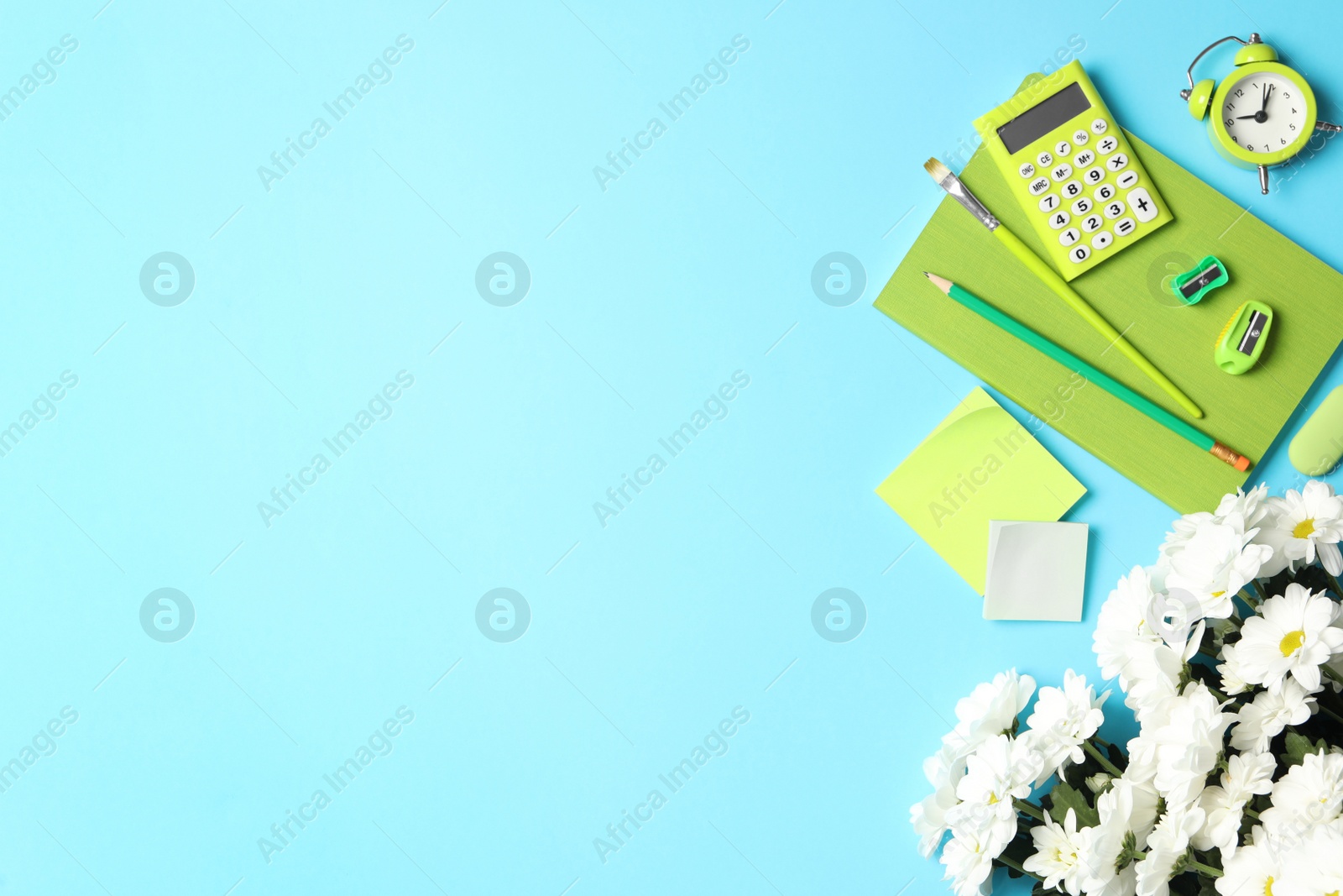 Photo of Different school stationery and beautiful white flowers on light blue background, flat lay with space for text. Happy Teacher's Day