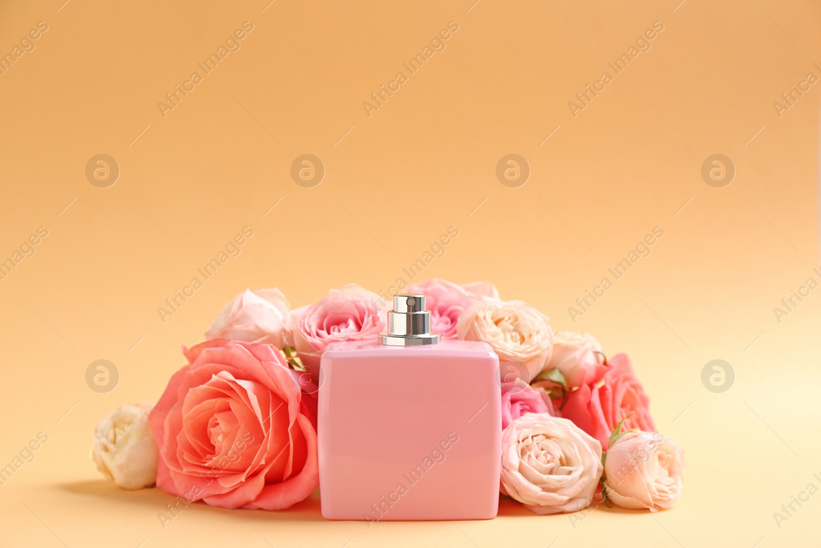 Photo of Bottle of perfume with beautiful roses on color background