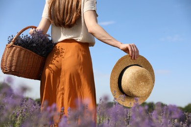 Photo of Young woman with straw hat and wicker basket full of lavender flowers in field, closeup