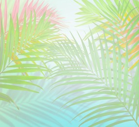 Colorful palm branches on light background, fade effect. Summer party