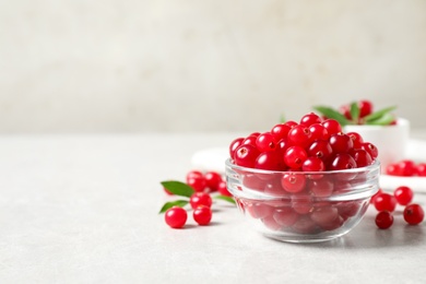 Photo of Fresh cranberry on light table, space for text