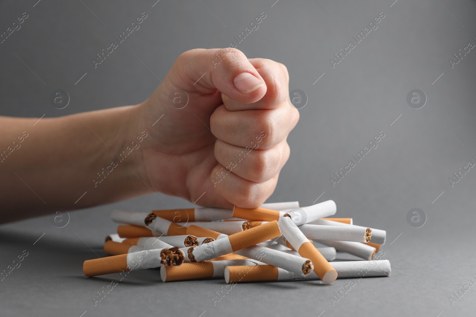 Photo of Stop smoking. Woman crushing cigarettes on grey background, closeup