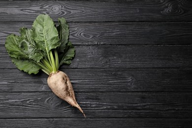 Photo of Fresh sugar beet with leaves on black wooden table, top view. Space for text