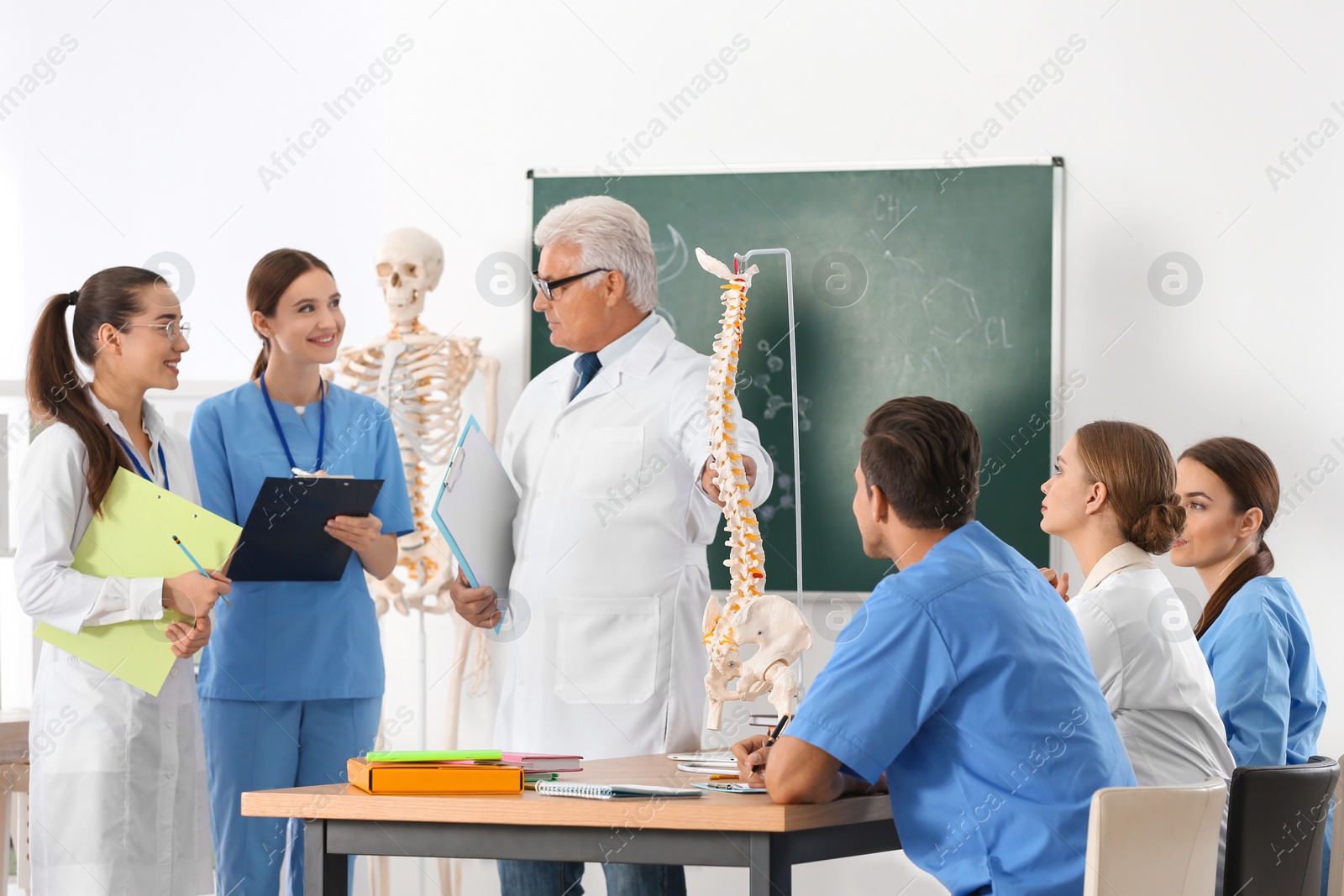 Photo of Medical students and professor studying human spine structure in classroom