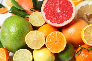 Photo of Different citrus fruits with fresh leaves, closeup