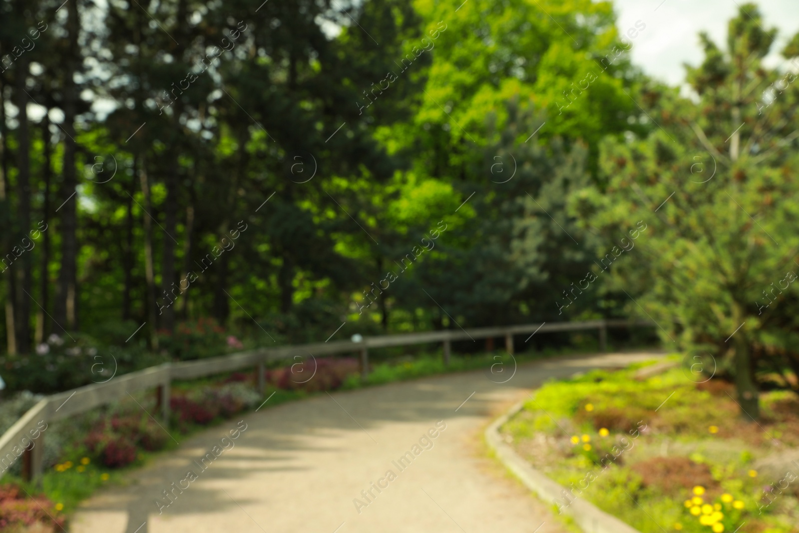 Photo of Blurred view of beautiful park on sunny day