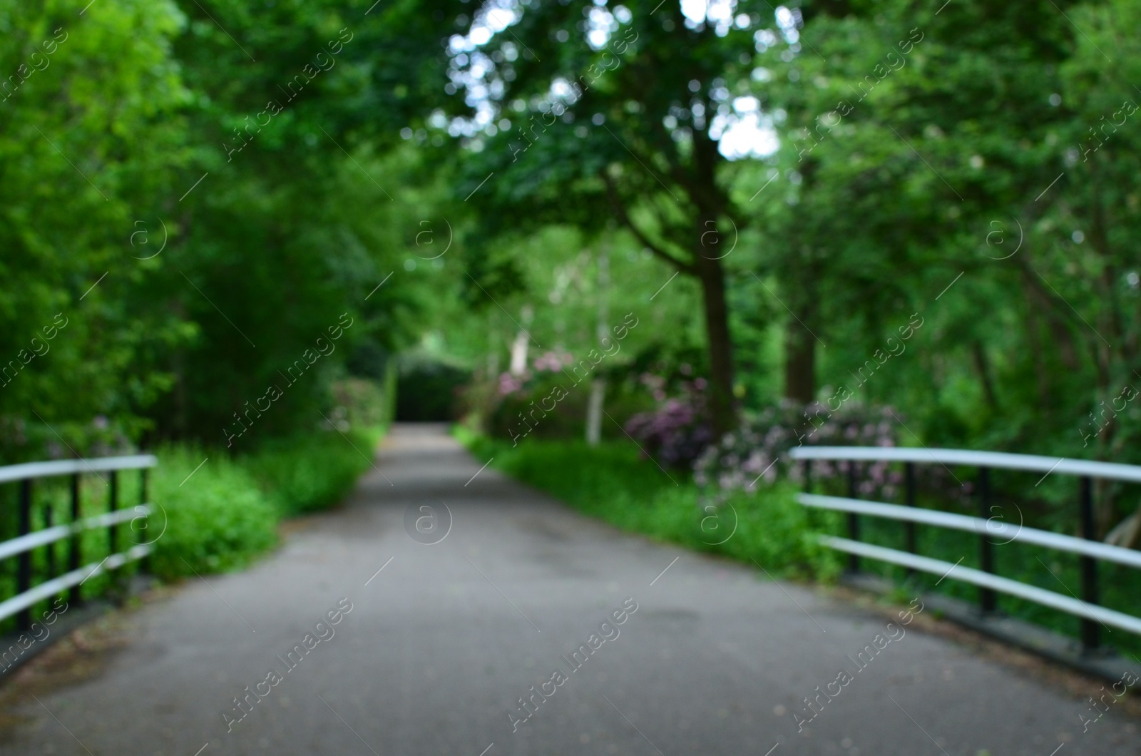 Photo of Road in beautiful green park with flowers, blurred view